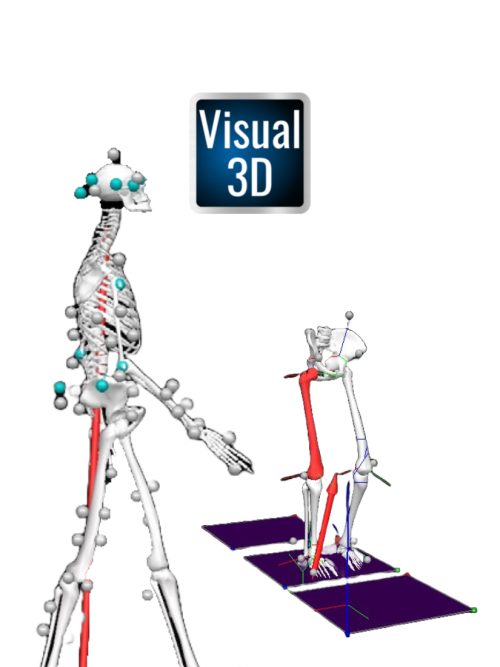 Visual3D