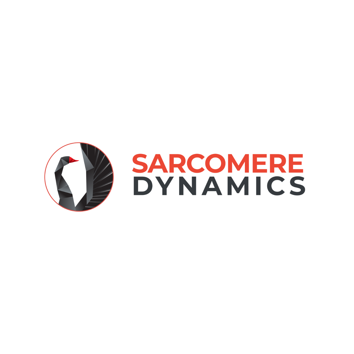 sarcomere-dynamics-mano-robotica