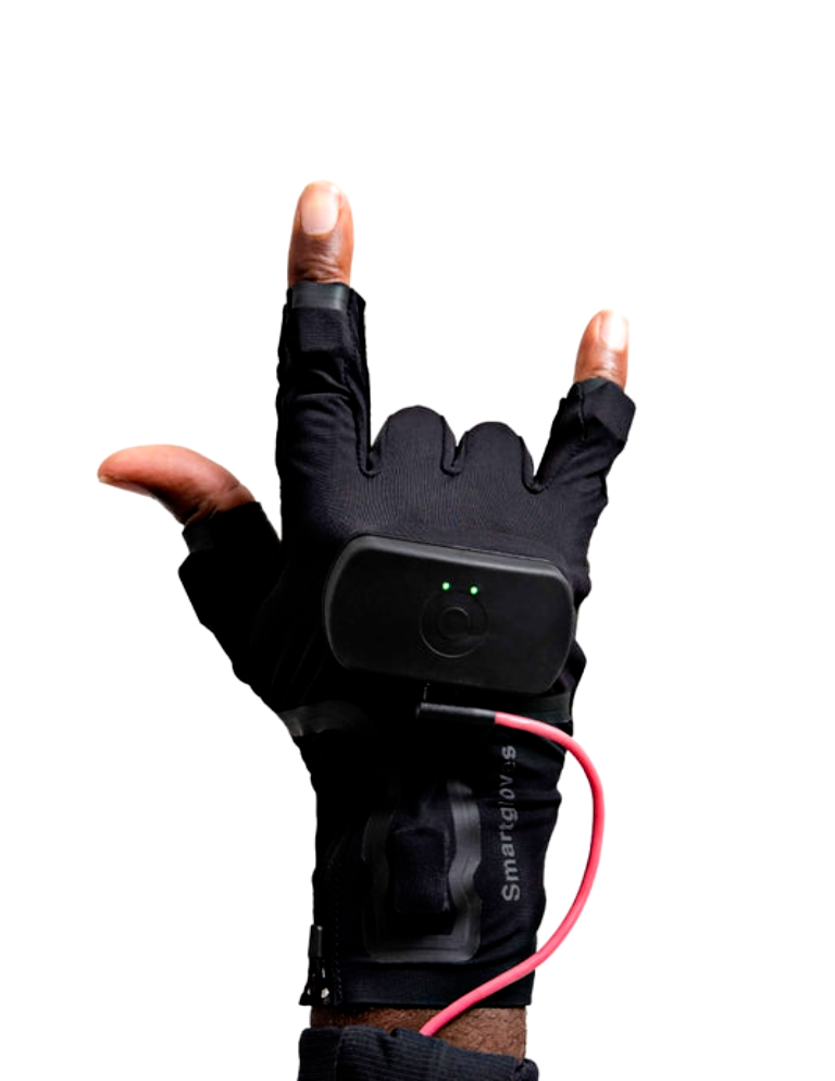 Rokoko Smartgloves
